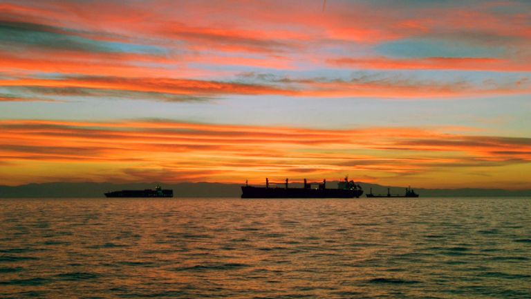 IMO identifica 529 navios com bandeiras nacionais fraudadas e 356 sem registro em sociedade classificadora