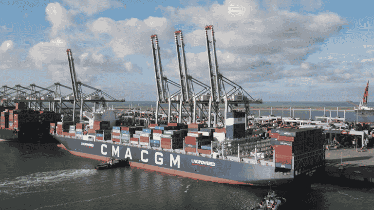 CMA CGM registra maior crescimento de capacidade no primeiro semestre e supera MSC em aumento percentual